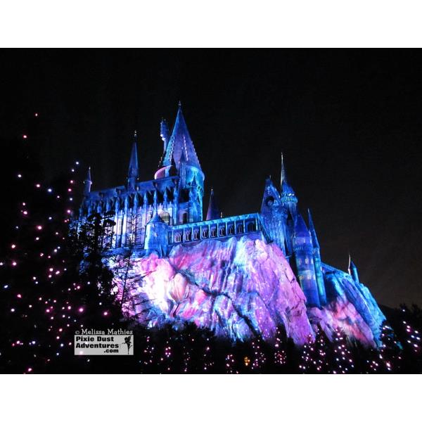 Hogwarts Castle Christmas-02